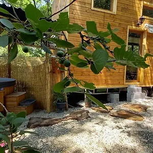  Hébergement de vacances Mini Maison Tiny House Et Son Bain Nordique